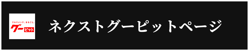 ネクストグ―ピットページ